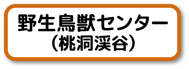 野生鳥獣センター(桃洞渓谷)