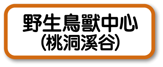野生鳥獸中心（桃洞溪谷）