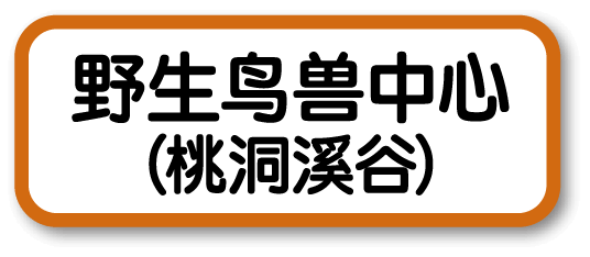 野生鸟兽中心（桃洞溪谷）
