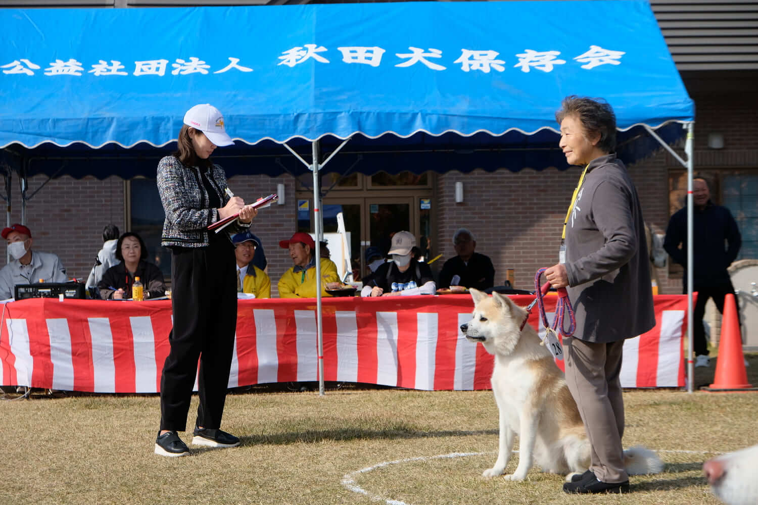 秋田犬保存会県北支部展覧会10